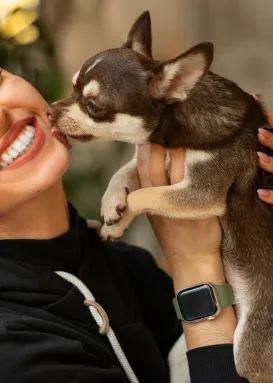 Pet Clinics in Gopalganj