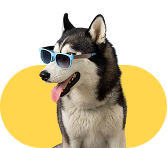 Best Pet Clinic in Gopalganj