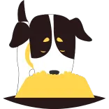 Top Pet Clinics in Gopalganj