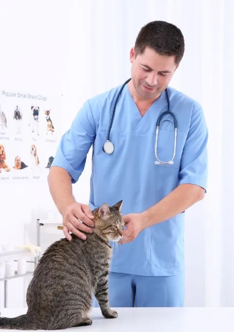 Top Pet Clinic near me