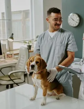 Pet Clinic Near Gopalganj